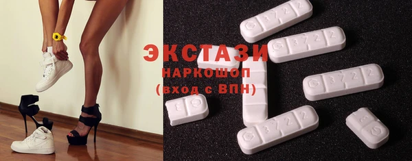 тгк Ельня