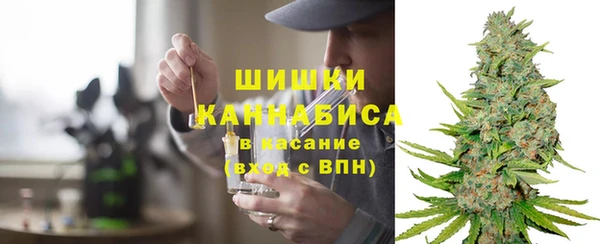 тгк Ельня