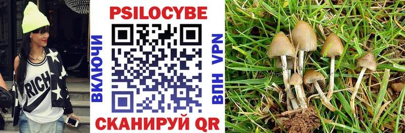 Псилоцибиновые грибы мухоморы Купить Губкинский